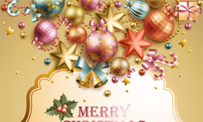Elegant Christmas Decorations